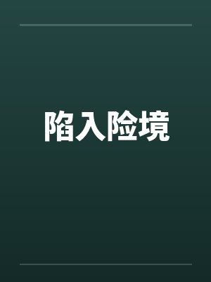 陷入险境封面