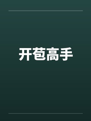 开苞高手封面