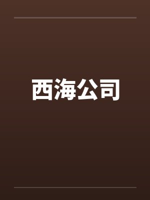 西海公司封面