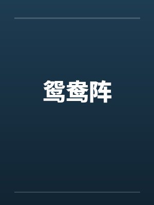 鸳鸯阵笔趣阁无弹窗封面