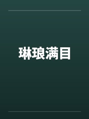 琳琅满目下一句是什么封面