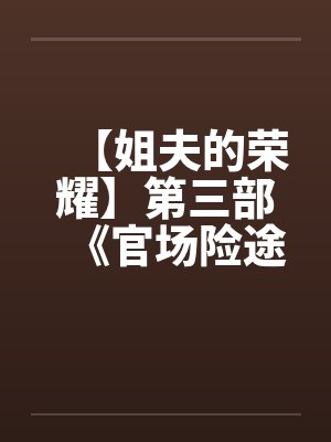 【姐夫的荣耀】第三部《官场险途》特别篇by佚名封面