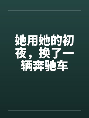 她用她的初夜，换了一辆奔驰车笔趣阁无弹窗封面