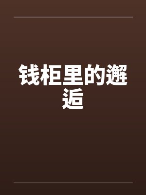 钱柜里的邂逅封面