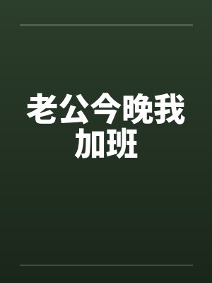 老公今晚我加班笔趣阁无弹窗封面