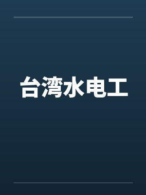 台湾水电工封面
