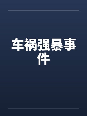 车祸强暴事件笔趣阁无弹窗封面