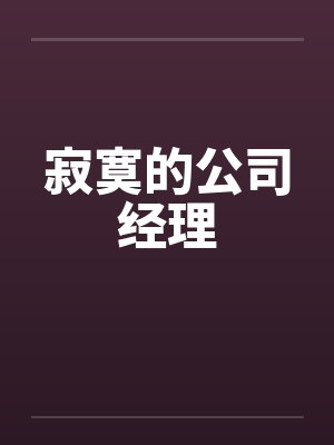 寂寞的公司经理封面
