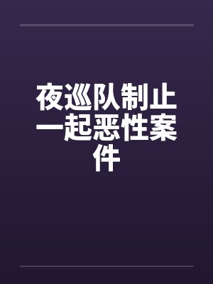 夜巡队制止一起恶性案件封面