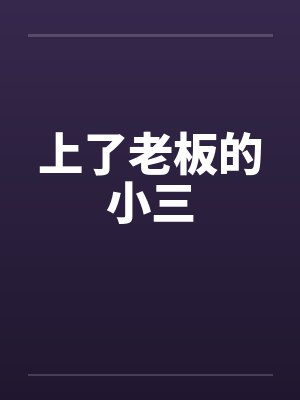 上了老板的小三by佚名封面