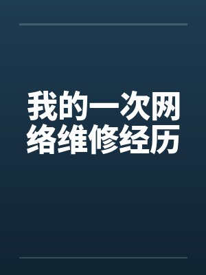我的一次网络维修经历by佚名封面