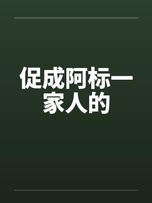 阿标一家人小说TXT下载封面