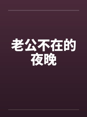 老公不在的夜晚封面
