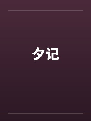 夕记封面