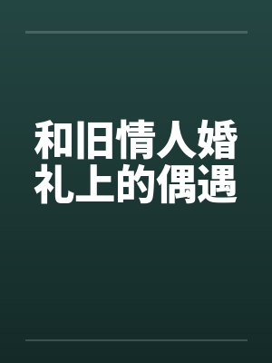 和旧情人婚礼上的偶遇封面
