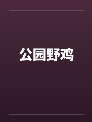 公园野鸡封面