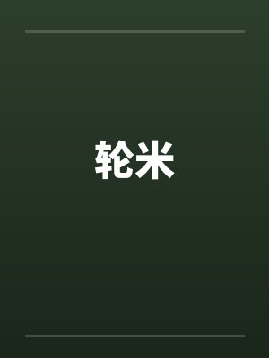 轮米by佚名封面
