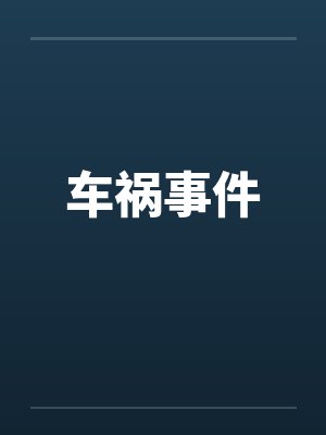 车祸事件by佚名笔趣阁无弹窗封面