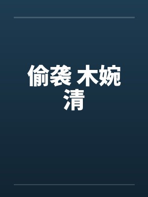 偷袭 木婉清封面