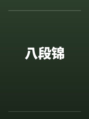 八段锦笔趣阁无弹窗封面