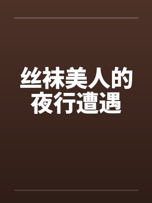 丝袜美人的夜行遭遇封面