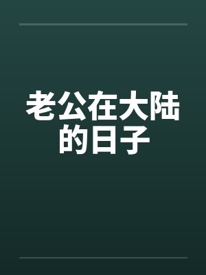 老公在大陆的日子封面