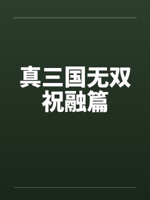 真三国无双祝融篇封面