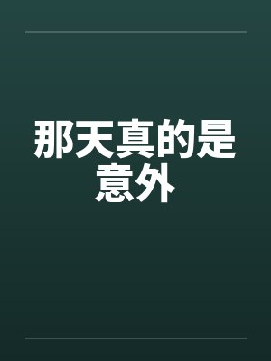 那天真的是意外封面