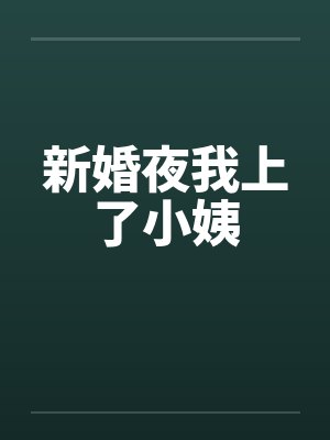 新婚夜我上了小姨笔趣阁无弹窗封面