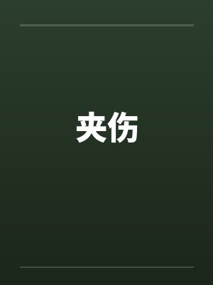 夹伤by佚名封面