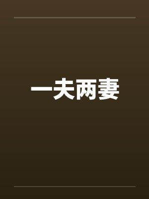 一夫两妻封面