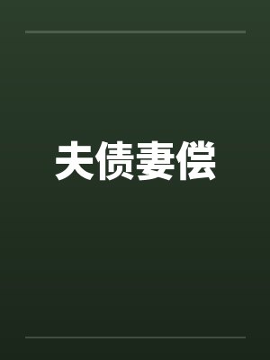 夫债妻偿by佚名封面