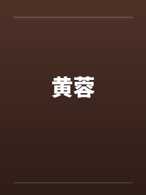 黄蓉封面