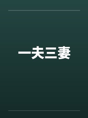 一夫三妻by佚名封面