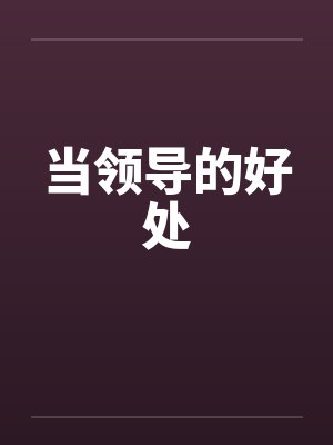 当领导的好处by佚名封面