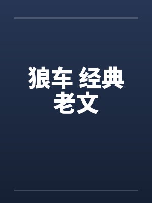 狼车网盘封面