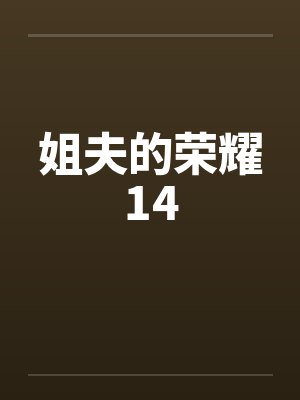 姐夫的荣耀14笔趣阁无弹窗封面