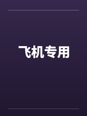 飞机专用笔趣阁无弹窗封面