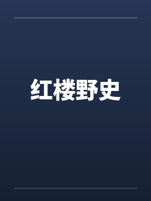 红楼野史by佚名封面