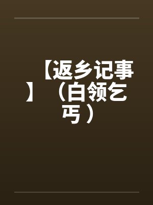 【返乡记事】（白领乞丐 ）by佚名笔趣阁无弹窗封面