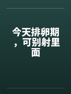今天排卵期，可别射里面笔趣阁无弹窗封面