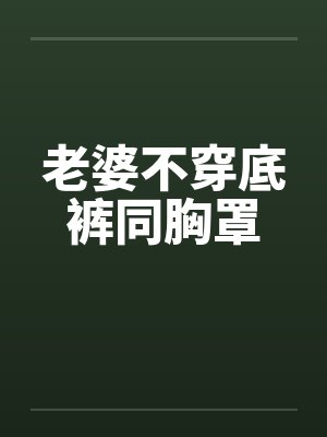 老婆不穿底裤同胸罩by佚名笔趣阁无弹窗封面