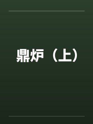 鼎炉（上）笔趣阁无弹窗封面