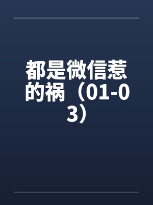 都是微信惹的祸（01-03）封面
