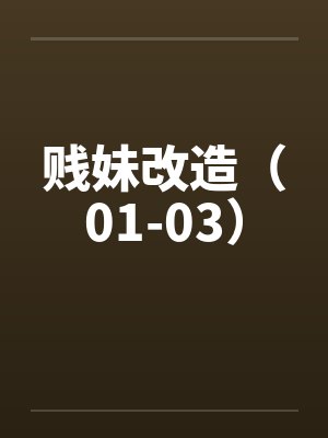 贱妹改造（01-03）by佚名封面