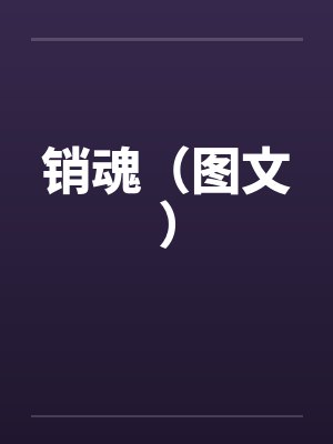 销魂（图文）by佚名封面