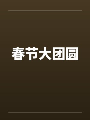春节大团圆by佚名笔趣阁无弹窗封面