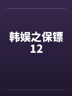 韩娱之保镖12封面