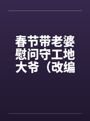 春节带老婆慰问守工地大爷（改编）（完）笔趣阁无弹窗封面