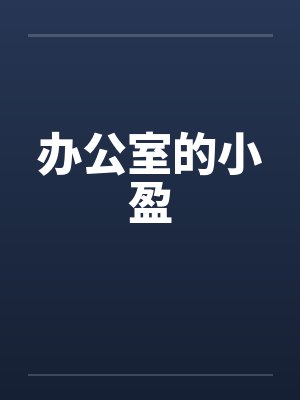 办公室的小盈封面